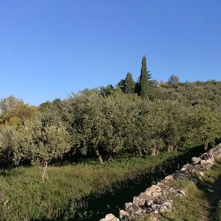Antica Casa Simo Casa vacanze Montecchio (Verona)